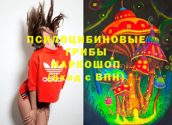 ECSTASY Белокуриха