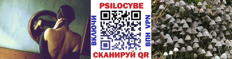 где продают наркотики  Волхов  Псилоцибиновые грибы Cubensis 
