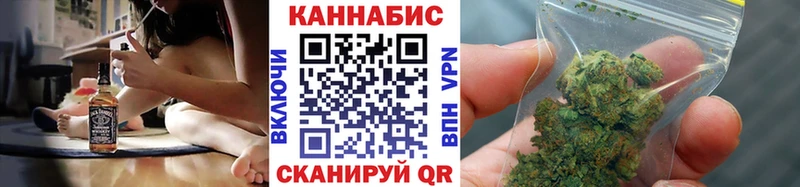 как найти закладки  Волхов  Шишки марихуана сатива 